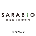 saravio